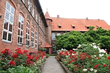 2017-06-29- (124).JPG