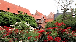 2017-06-29- (125).JPG