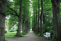 2017-06-29- (31).JPG