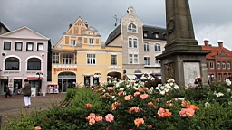 2017-06-29- (48).JPG