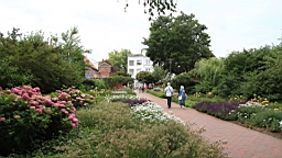 2017-06-29- (63).JPG