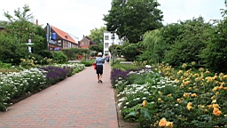 2017-06-29- (64).JPG
