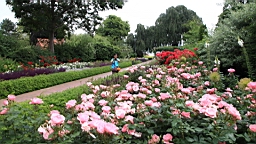 2017-06-29- (68).JPG