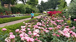 2017-06-29- (69).JPG