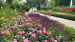 2017-06-29- (70).JPG