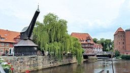 2017-06-29- (79).JPG
