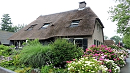 2017-07-01- (100).JPG