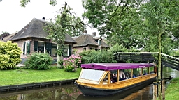 2017-07-01- (112).JPG