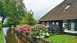 2017-07-01- (125).JPG