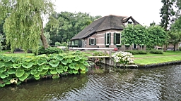 2017-07-01- (152).JPG