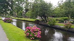 2017-07-01- (155).JPG