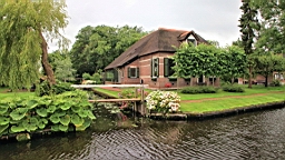 2017-07-01- (159).JPG