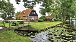 2017-07-01- (170).JPG