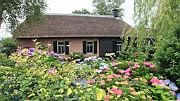 2017-07-01- (188).JPG