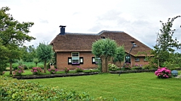 2017-07-01- (201).JPG
