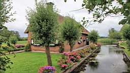 2017-07-01- (214).JPG