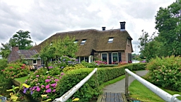 2017-07-01- (221).JPG