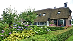 2017-07-01- (222).JPG