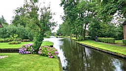 2017-07-01- (225).JPG