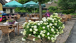 2017-07-01- (257).JPG
