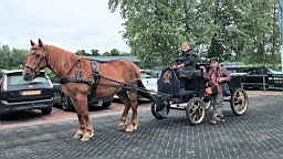 2017-07-01- (260).JPG