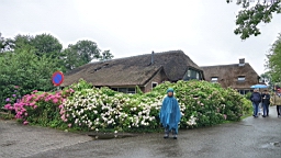 2017-07-01- (75).JPG