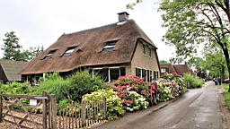 2017-07-01- (86).JPG