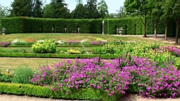 20110524155527(3).JPG