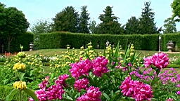 20110524155703(2).JPG