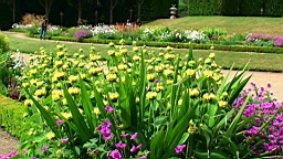 20110524155849(1).JPG