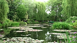 20110527152433(1).JPG