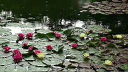 20110527152706(3).JPG
