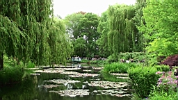 20110527153703(1).JPG