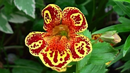 20110527154205(1).JPG