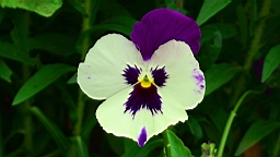 20110527154354(1).JPG