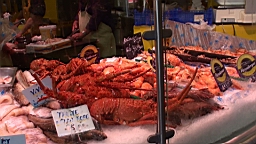 20110528135142(1).JPG
