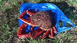 20110601190542(1).JPG