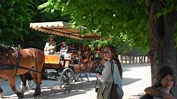 20110602173448(1).JPG