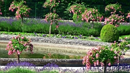 20110604101140(2).JPG