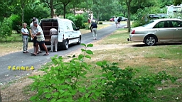 20110605091946(2).JPG