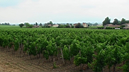 20110606132019(2).JPG