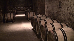 20110606134343(2).JPG