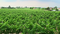 20110606135500(1).JPG