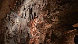 20110609113755(2).JPG