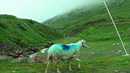20110610105535(1).JPG