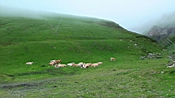 20110610123758(1).JPG
