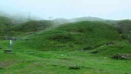20110610124017(1).JPG