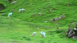 20110610124017(3).JPG