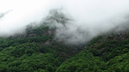 20110610132714(0)DSC00025.JPG
