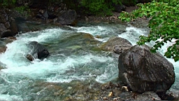 20110610142227(2).JPG